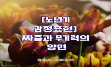 [노년기 감정표현] 짜증과 무기력의 양면